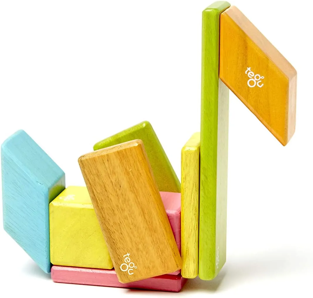 Tegu Tints 14 Piece Magnetic Wooden Blocks