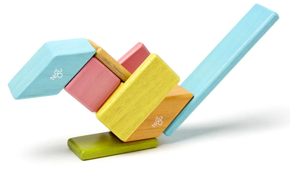 Tegu Tints 14 Piece Set