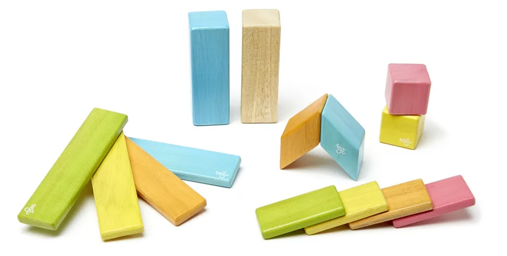 Tegu Tints 14 Piece Set