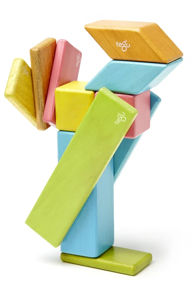 Tegu Tints 14 Piece Set