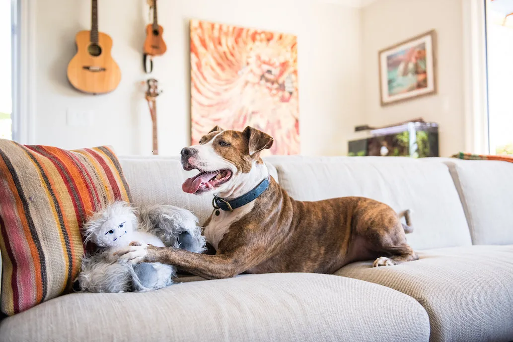 Willow’s Mythical Plush Toy Set